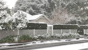 Ein Wohngebiet mit schneebedeckten Häusern, einem Holzzaun und einer Straße.
