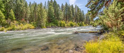 Appartamento, letti multipli (Two-Bedroom Apartment) | Varie