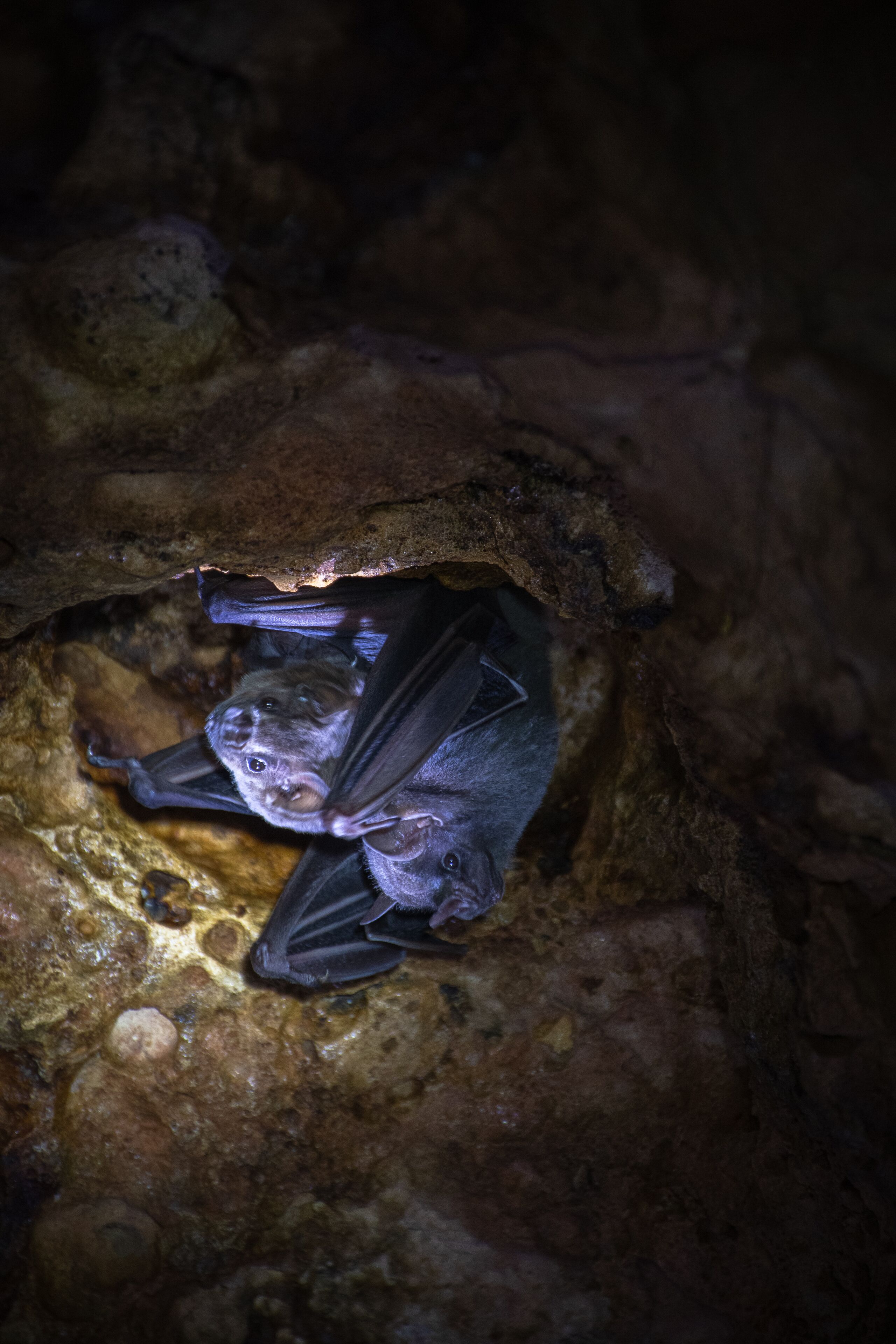 Spelunking/cave exploring