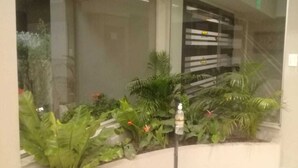 A reception area with a glass partition, a water dispenser, and a variety of indoor plants.