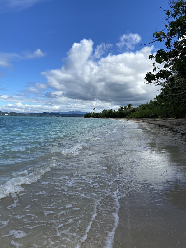 Ubicación a pie de playa, tumbonas y toallas de playa