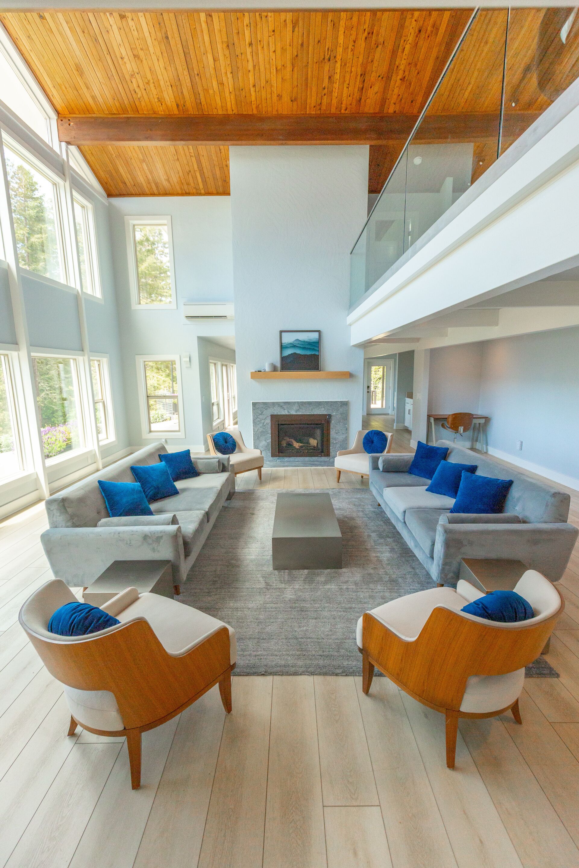 Télévision, cheminée, lecteur de DVD, livres