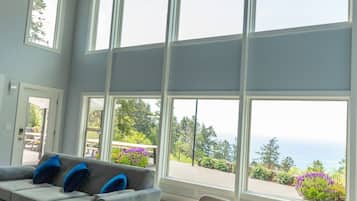 Télévision, cheminée, lecteur de DVD, livres