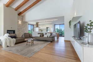 Télévision, cheminée, lecteur de DVD, chaîne hi-fi