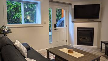 Smart TV, fireplace, books