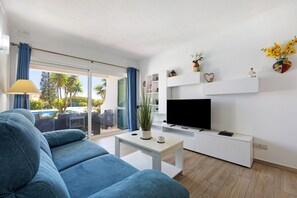 TV