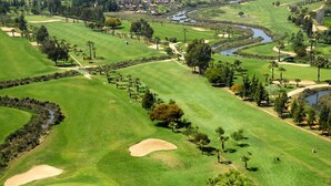 Un parcours de golf avec des bunkers de sable, des obstacles d’eau et des palmiers.
