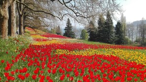 Unclassified image, 2 of 37, button