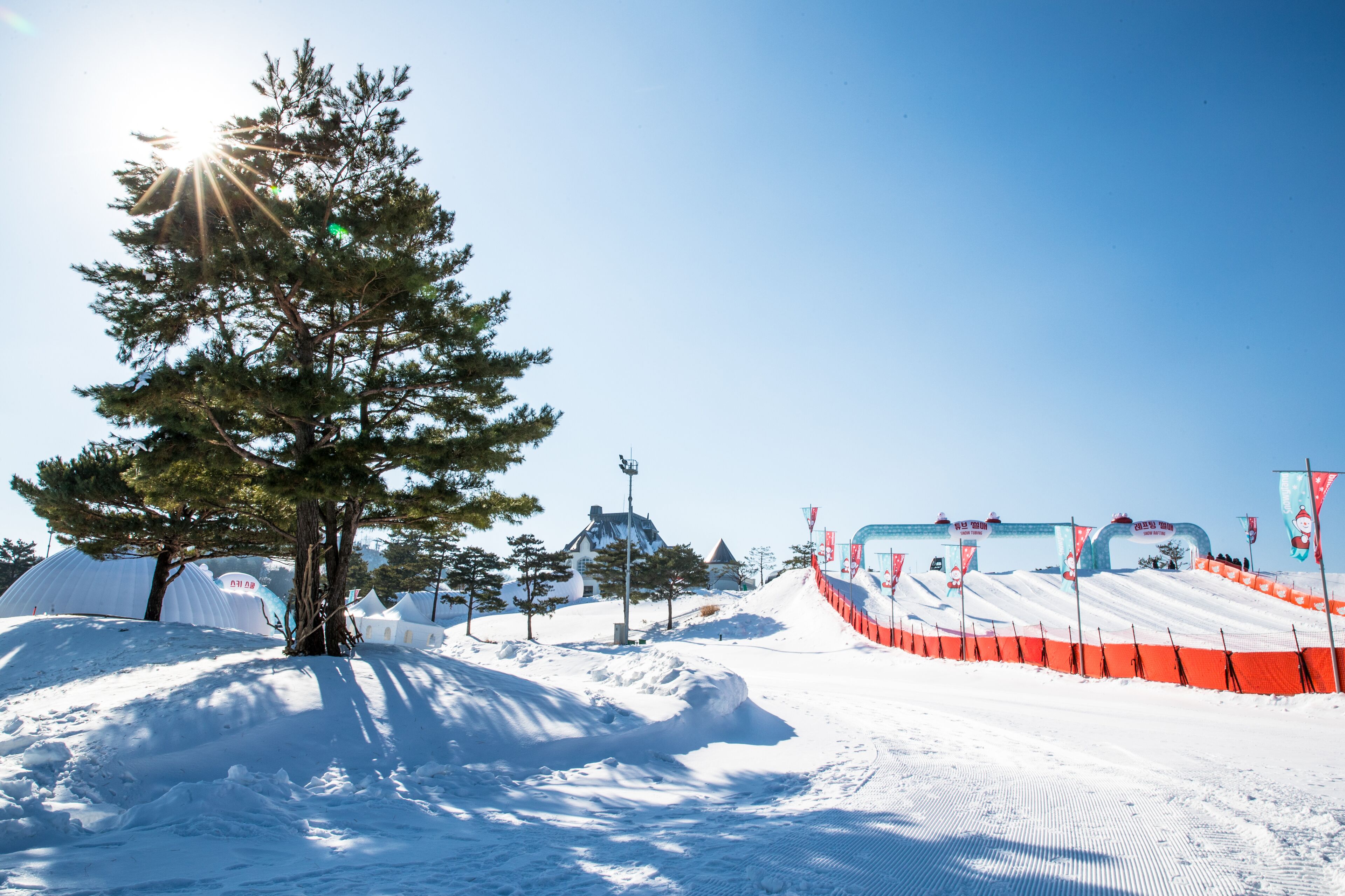 A snow-covered ski slope with a pine tree, tents, and flags.