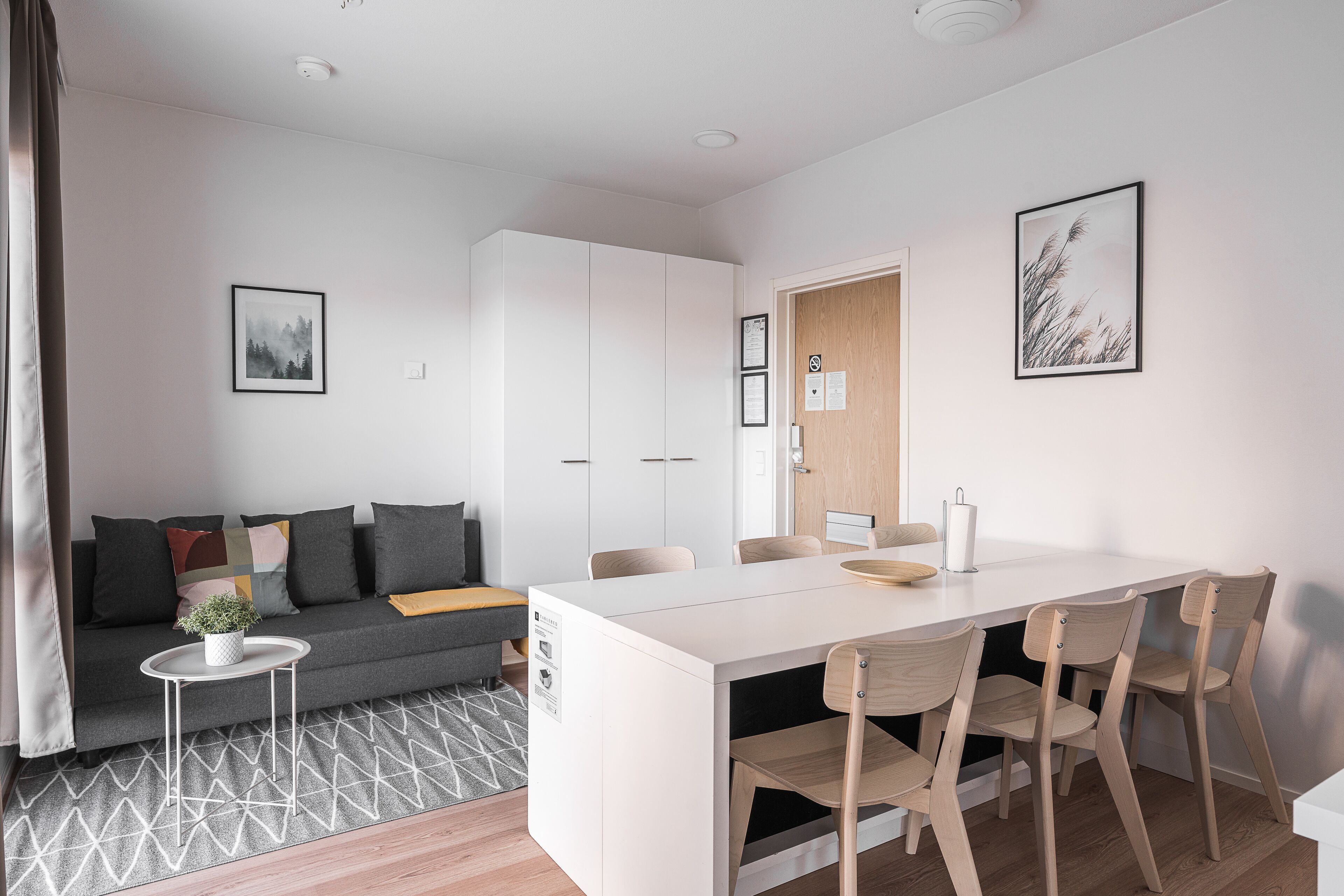 A modern living room with a sofa, a dining table, and chairs. There is a small side table with a plant.