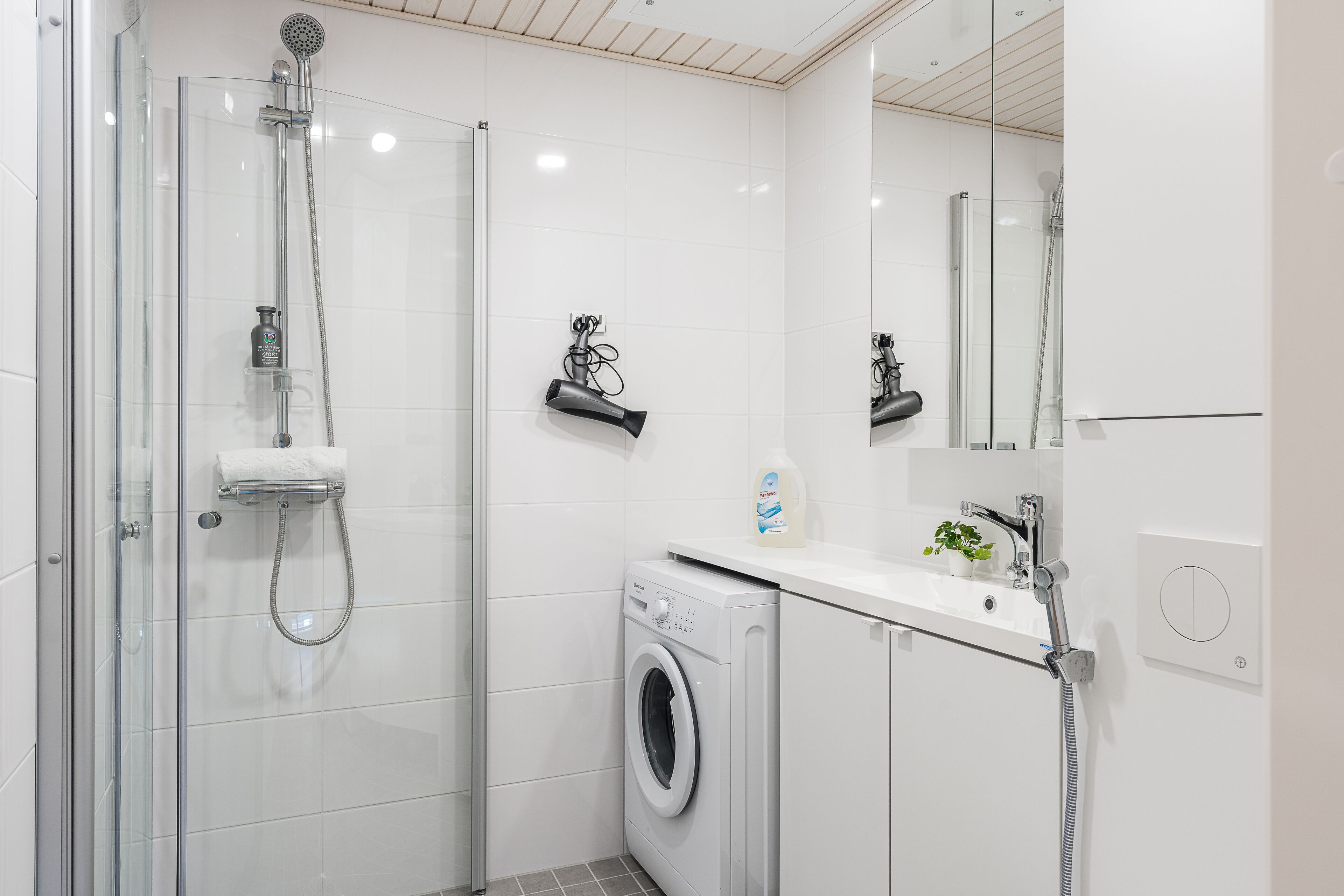 Suihku, ilmaiset hygieniatuotteet, hiustenkuivaaja, bidee