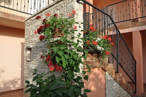 Terrain de l’hébergement 