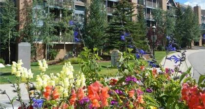 1 Bedroom Ski in Condo Only One Block From Historic Downtown, Shopping, Restaurants and Entertainment