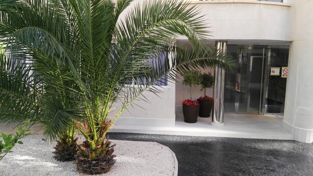 Una palmera en una maceta, la entrada de un edificio con puertas de vidrio y dos plantas en macetas con flores rojas.