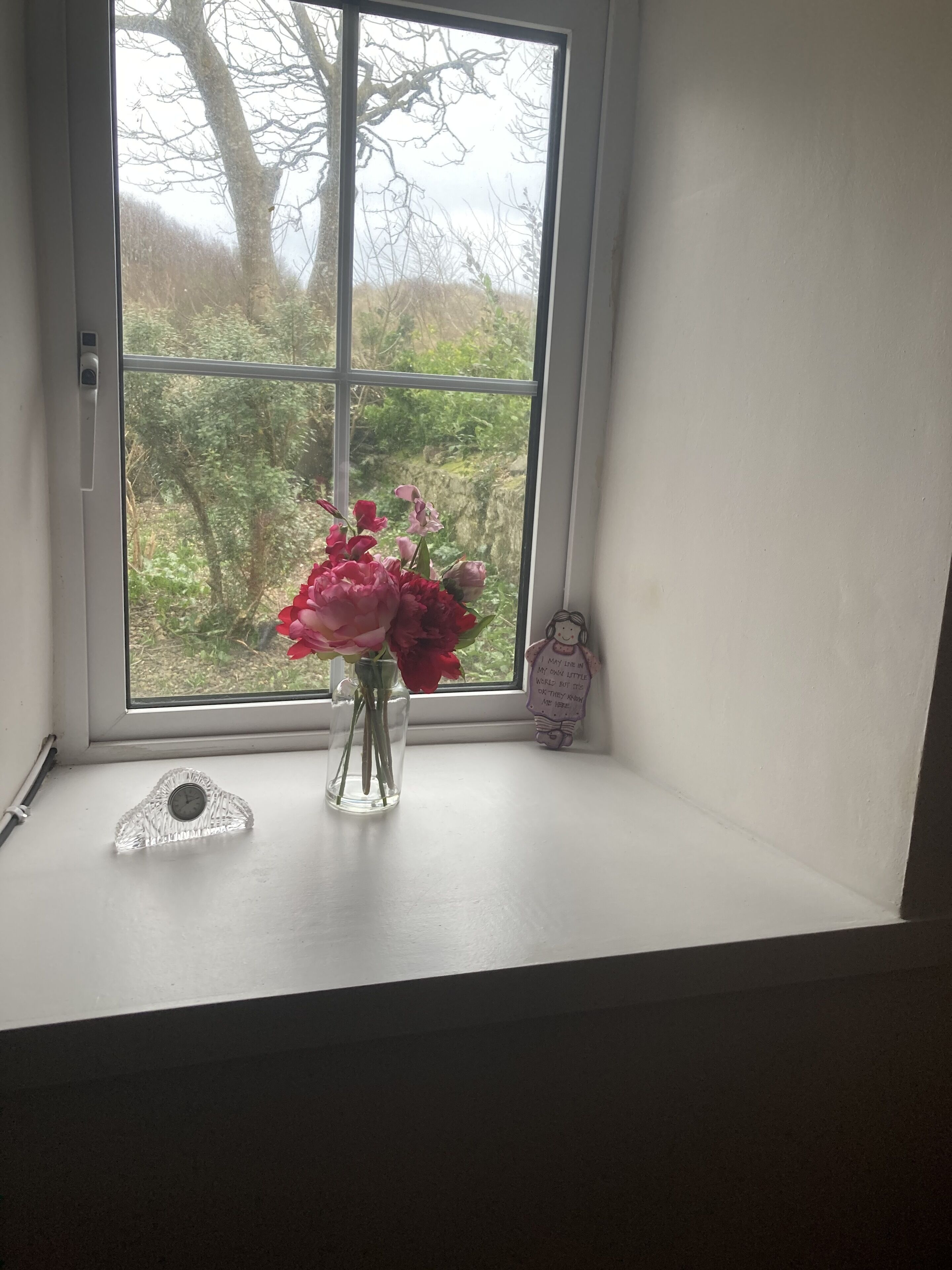 A window with a clear view of greenery outside.