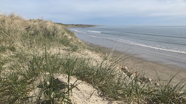 Una playa con dunas de arena y vegetación herbácea.