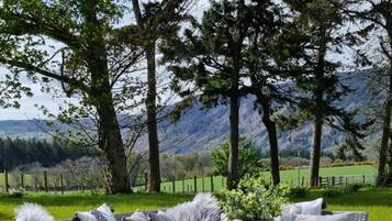 House, 5 Bedrooms (2 bedrooms in separate annex) | Terrace/patio