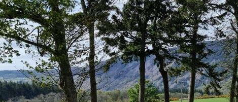 House, 5 Bedrooms (2 bedrooms in separate annex) | Terrace/patio