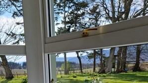 Ein Fenster mit Blick auf eine grüne Landschaft, Bäume und Berge.