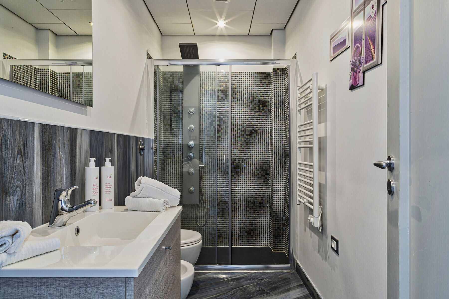 Dusche, Haartrockner, Handtücher, Seife