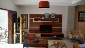 Ein Wohnzimmer mit einer Couch, einem Couchtisch, einem Fernseher und einer Katzenliege.
