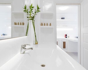 Buồng tắm vòi sen, vòi sen phun mưa, máy sấy tóc, chậu vệ sinh/vòi rửa