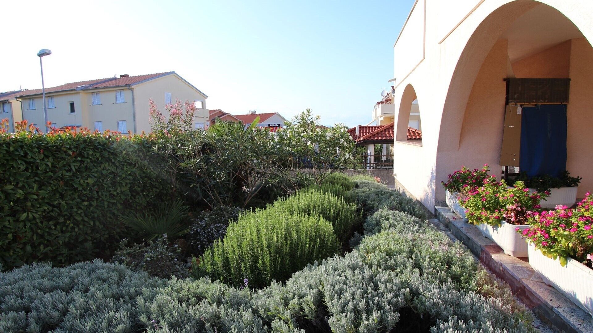 Parco della struttura