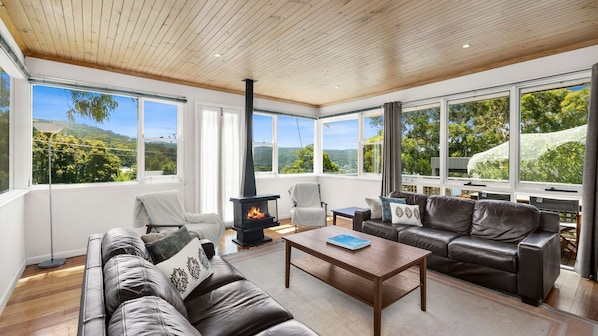 TV, fireplace, DVD player, books