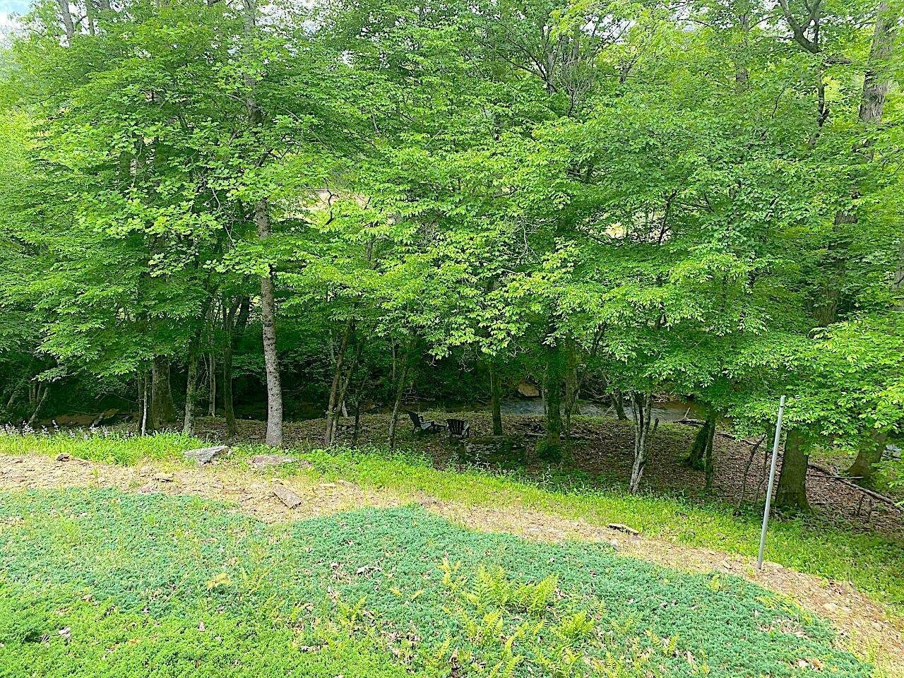 Un espace extérieur naturel, avec des arbres et un sentier de terre.