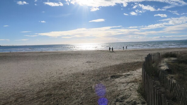 A sandy beach with a wooden fence in the foreground and a clear sky with scattered clouds. - Sol-y-Days Murènes 1, large studio close to beaches and center (Le Grau-du-Roi)