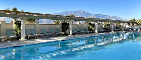 Outdoor pool, sun loungers