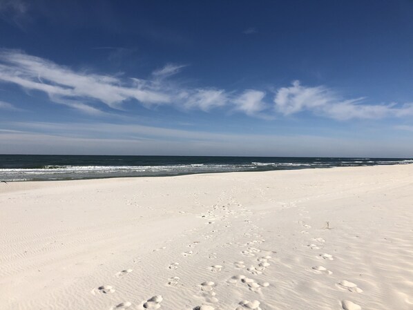 Playa en los alrededores, camastros y toallas de playa 