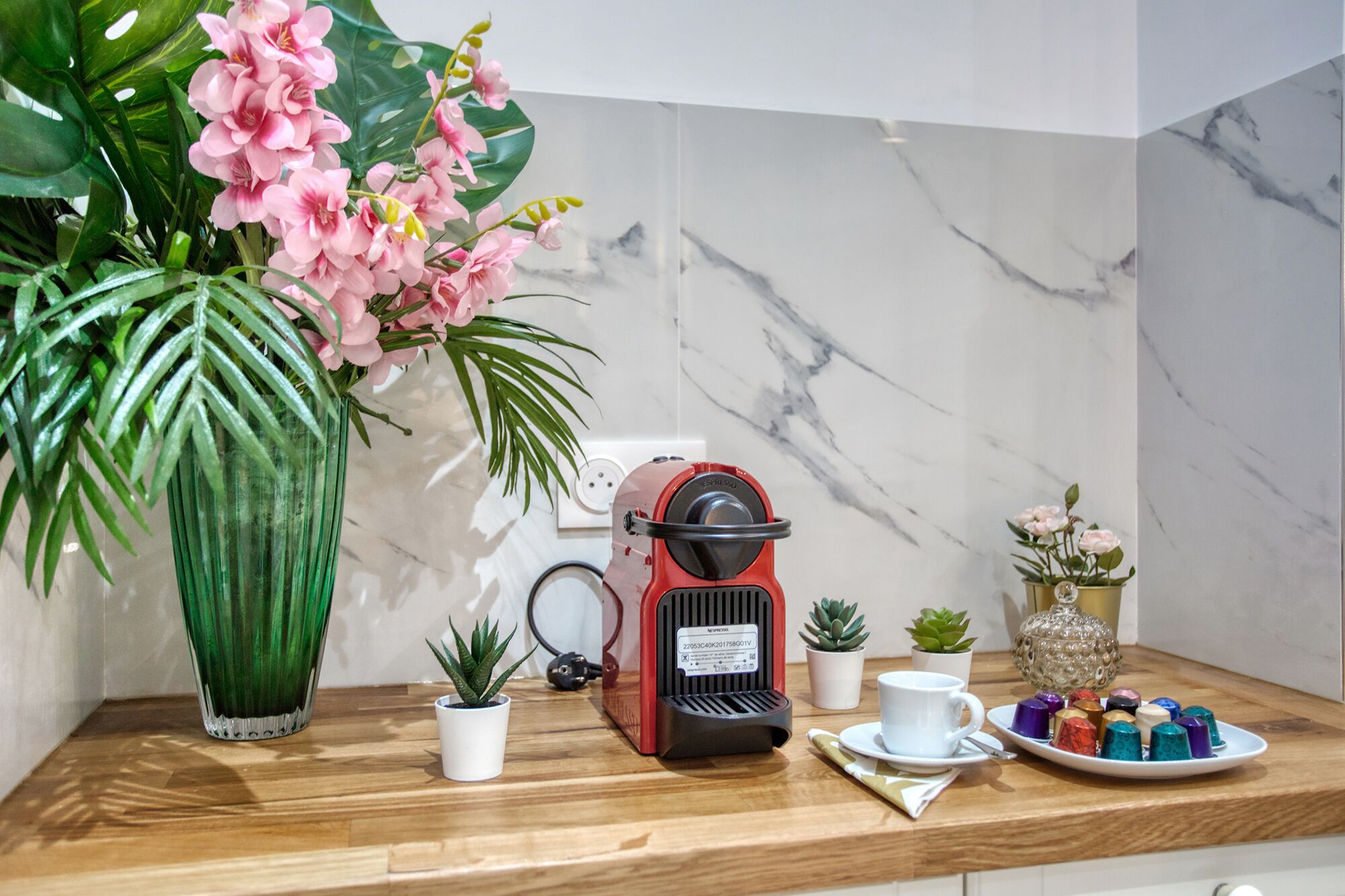 A kitchen counter with a coffee maker, a potted plant, a small succulent, a decorative bowl, and a plate of colorful items.