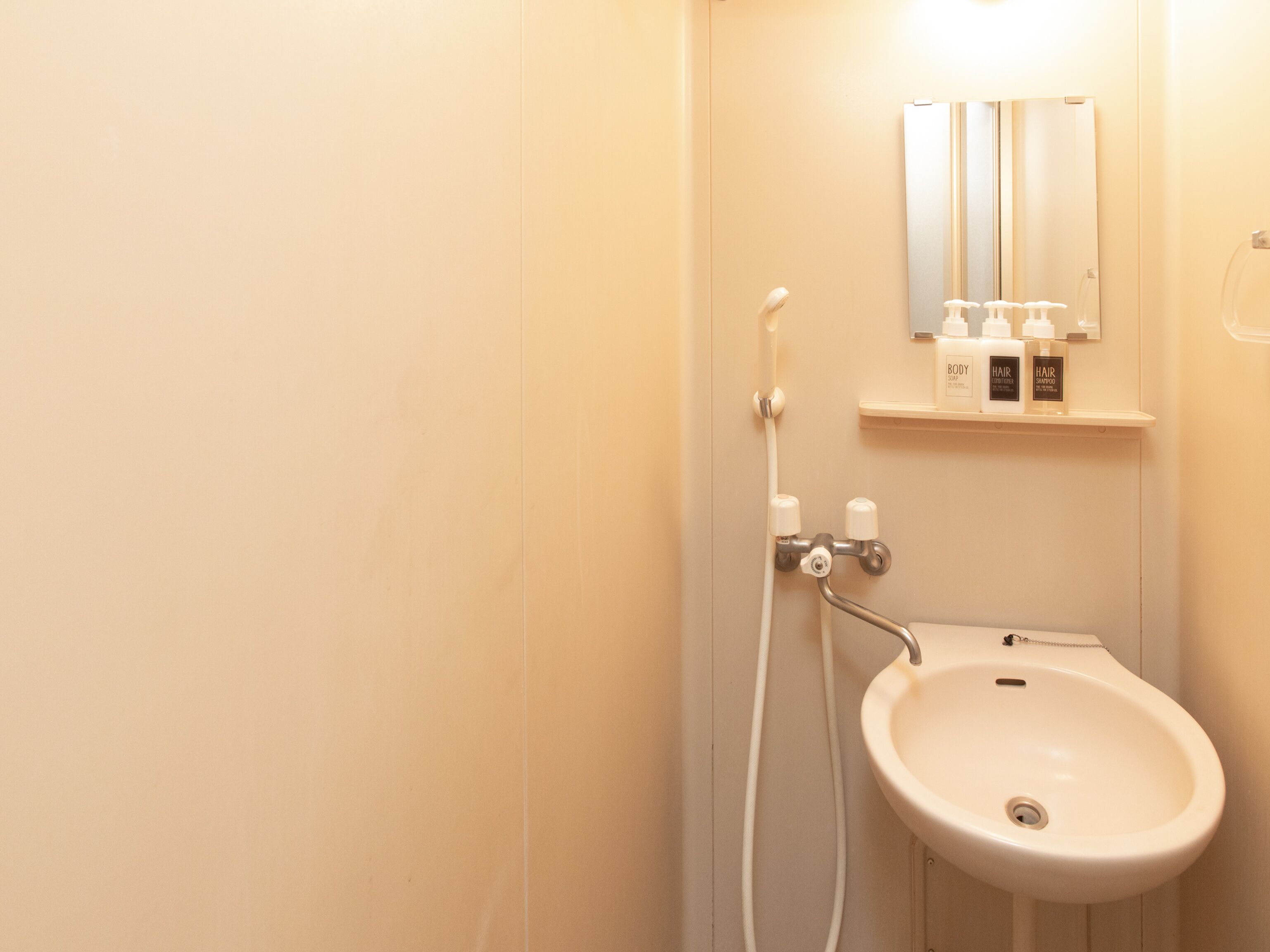 combined shower/bathtub, free toiletries, hair dryer, slippers