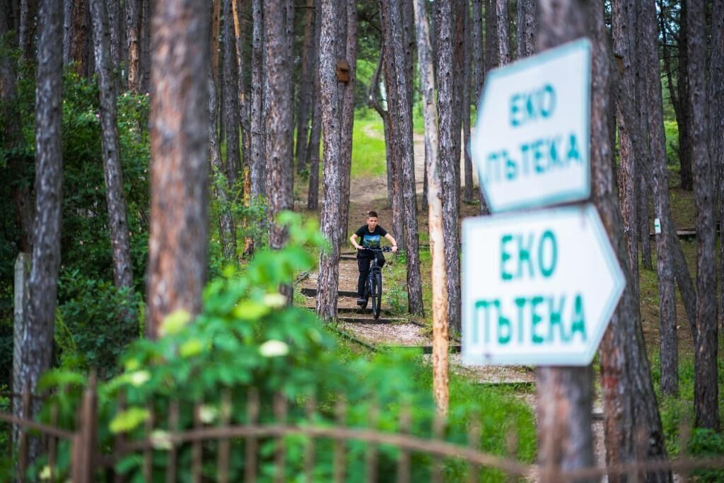 A forest trail with directional signs and a person riding a bicycle.
