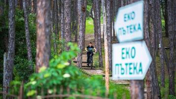 A forest trail with directional signs and a person riding a bicycle.