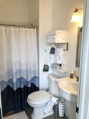 Shower, hair dryer, towels, soap - Tenderfoot Loft - Downtown - Inside Historic Palace Hotel  (Salida)