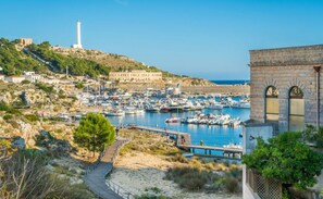 Marina - La Casa di Pietro - A Window on the Sea in Marina Di Novaglie (Marina di Novaglie)