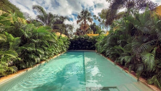 Una piscina cristalina rodeada de exuberante follaje tropical.