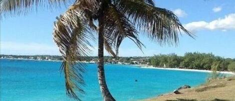 Beach nearby, sun loungers