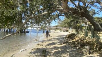 Plage à proximité, chaises longues, serviettes de plage