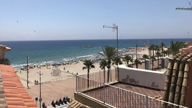 Una playa con vista despejada al océano, palmeras y un patio con baldosas.