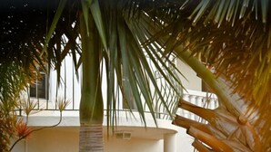 A building with a white facade, arched windows, and a palm tree in the foreground. - Relaxing, Amazing beach, pool, Cheap cars, quiet area, surfers paradise 3 (Christ Church)