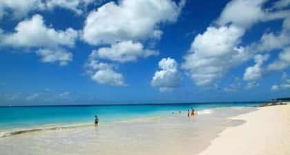 Relaxing, Amazing beach, pool, Cheap cars, quiet area, surfers paradise 3