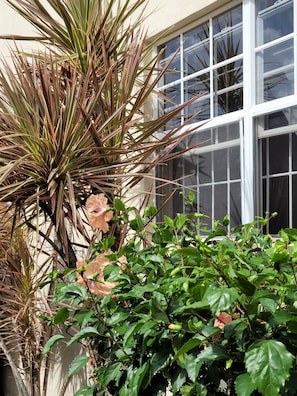 Relax in a serene outdoor space surrounded by lush greenery and a tranquil view.