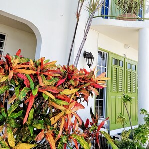 Exterior detail - Relaxing, Amazing beach, pool, Cheap cars, quiet area, surfers paradise 3 (Christ Church)