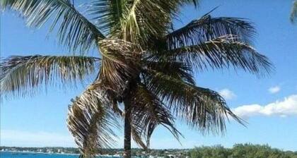 Relaxing, Amazing beach, pool, Cheap cars, quiet area, surfers paradise 3