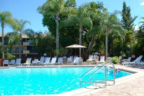 Una piscina amb gandules i una palmera de fons.