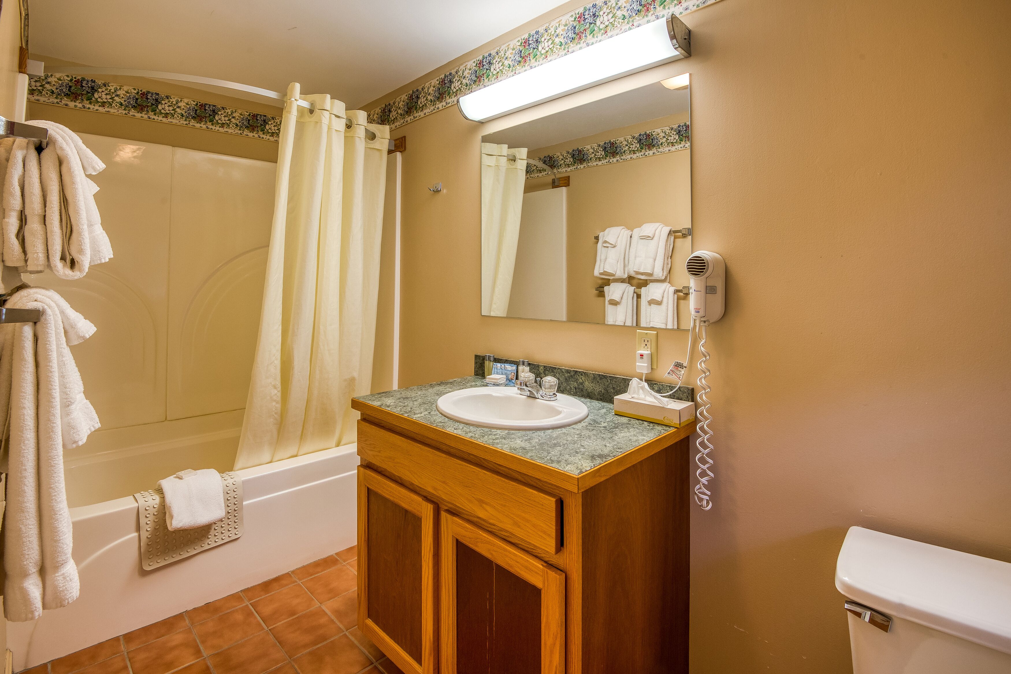 Een badkamer met een bad, wastafel, toilet en haardroger.