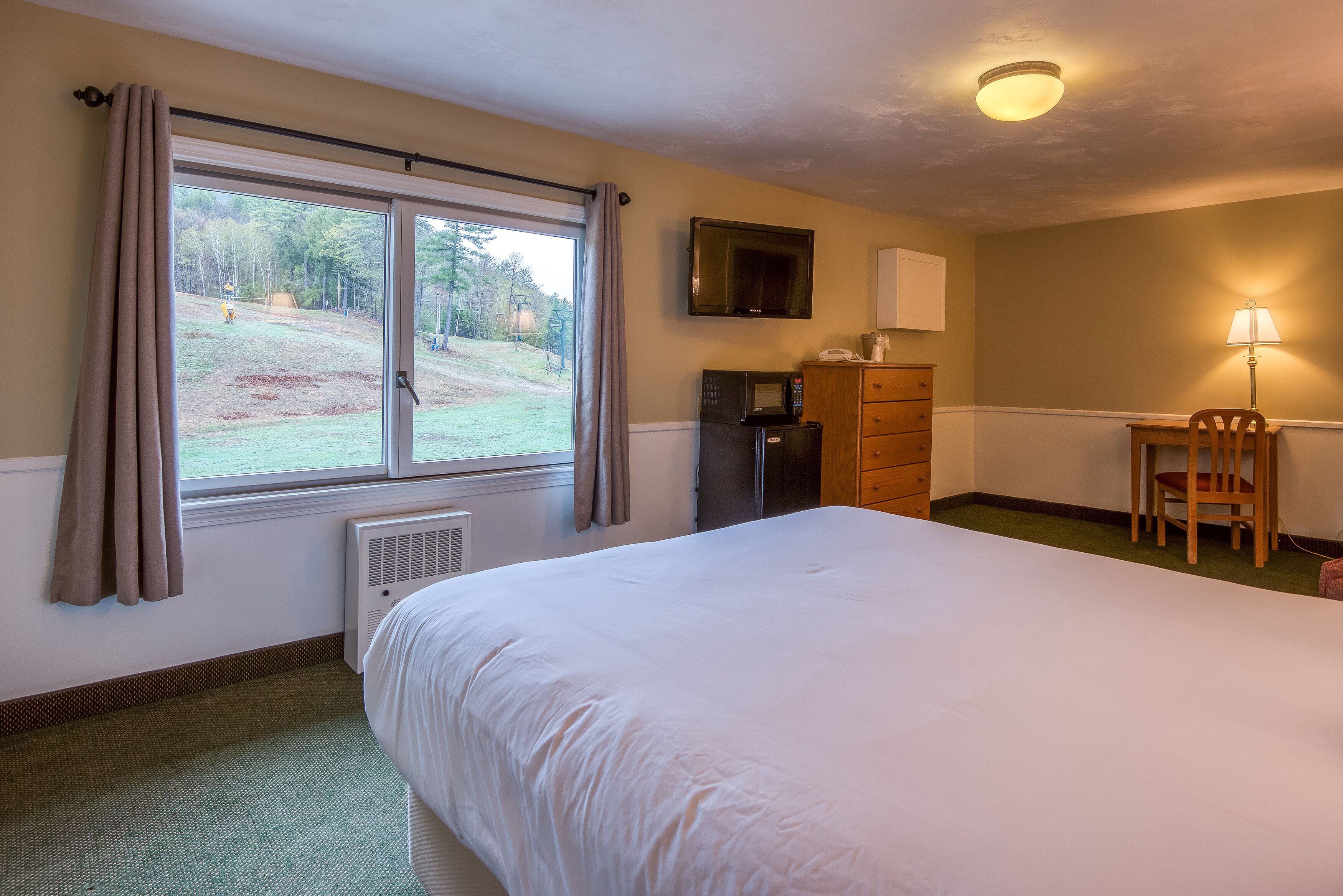 Habitación de hotel con una cama grande, un escritorio con silla, televisor, microondas y radiador.